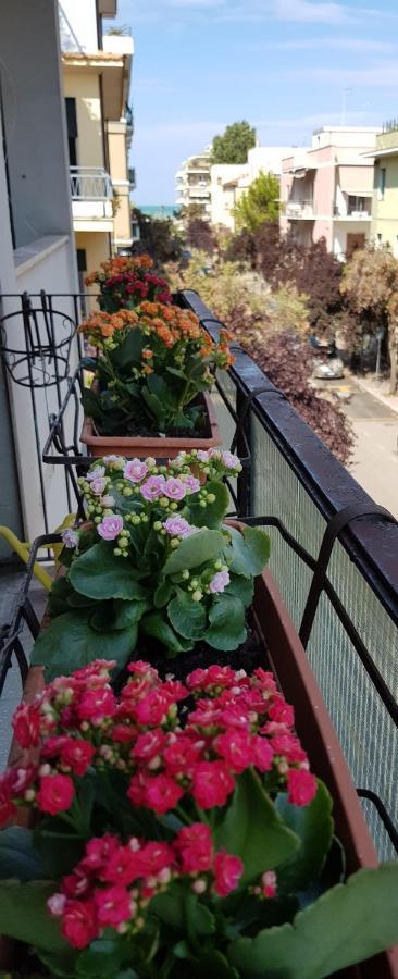 Casa Priscilla Διαμέρισμα Πεσκάρα Εξωτερικό φωτογραφία